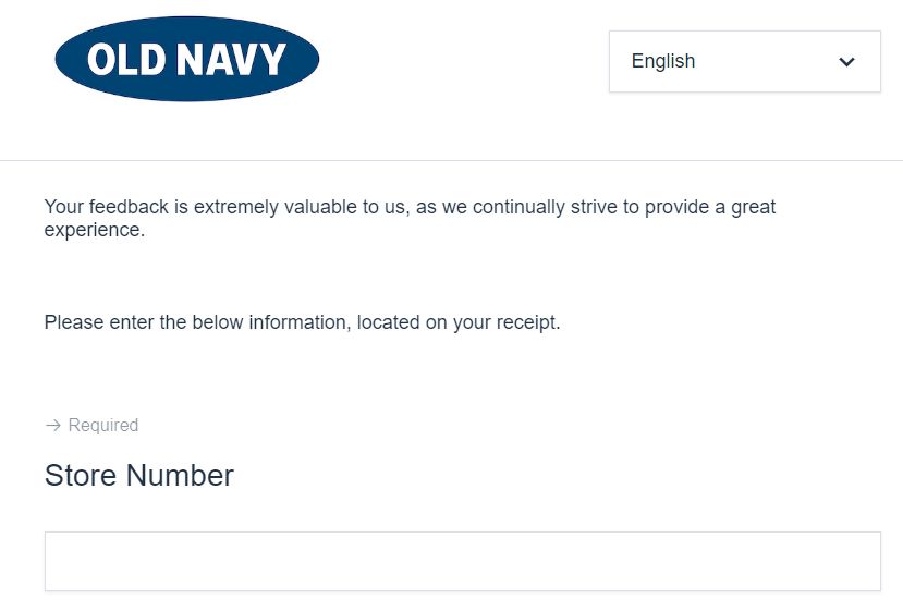 Old Navy Survey